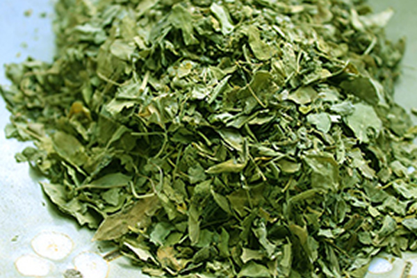 Dried loose moringa leaves
