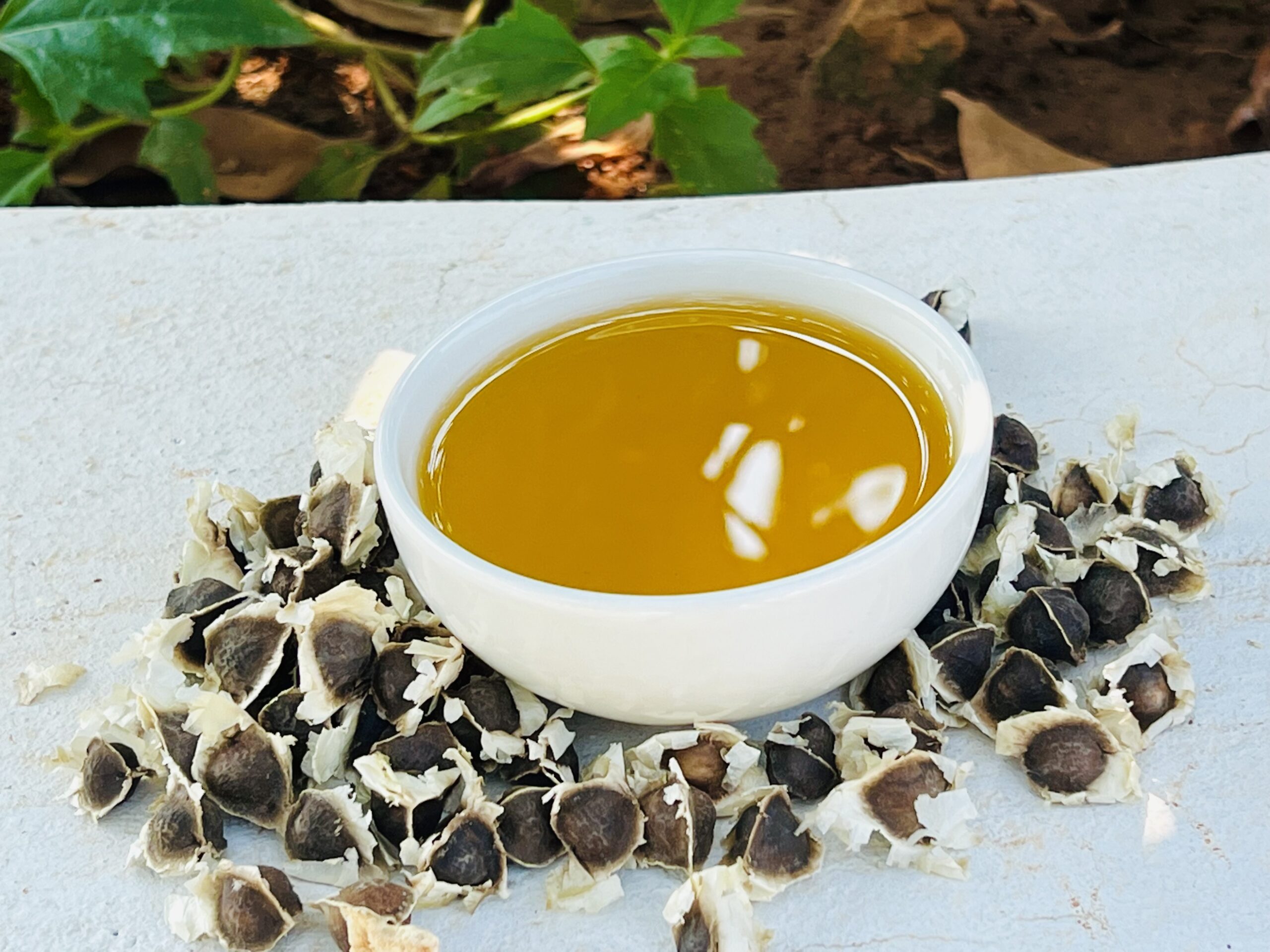 Moringa seed oil with seeds