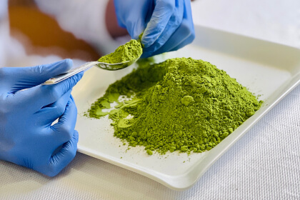 Moringa leaf powder in a bowl