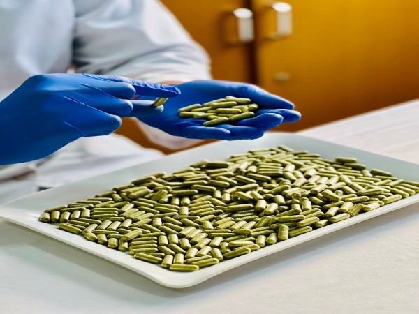 Bulk Supplier And Exporter Of Organic Moringa Capsules